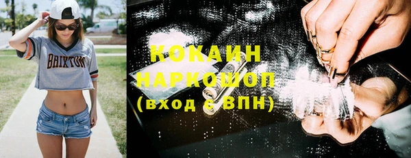 гидра Алзамай