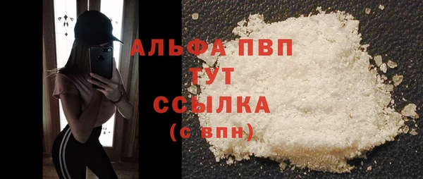 гидра Алзамай