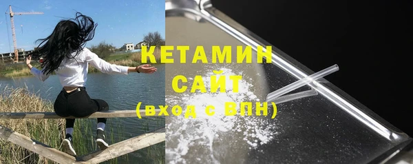 сатива Новокубанск