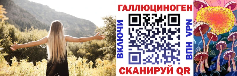 Галлюциногенные грибы Psilocybe  Михайловск 